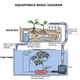 Illustration for article titled How Vertical Farming is Revolutionizing the Way We Grow Food